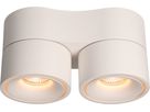 LED plafonnier DOUBLE SHINE blanc mat 3000K 2200lm 2x 36°