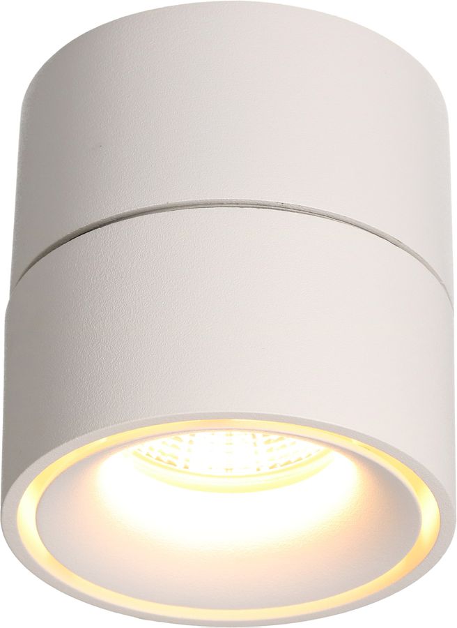 LED plafonnier SHINE blanc mat 3000K 760lm 36°