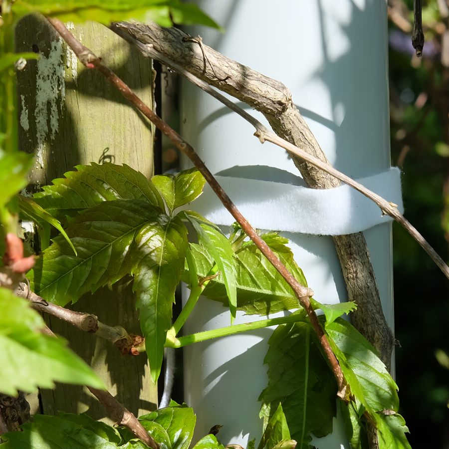 rouleau de velcro double face 25m blanc