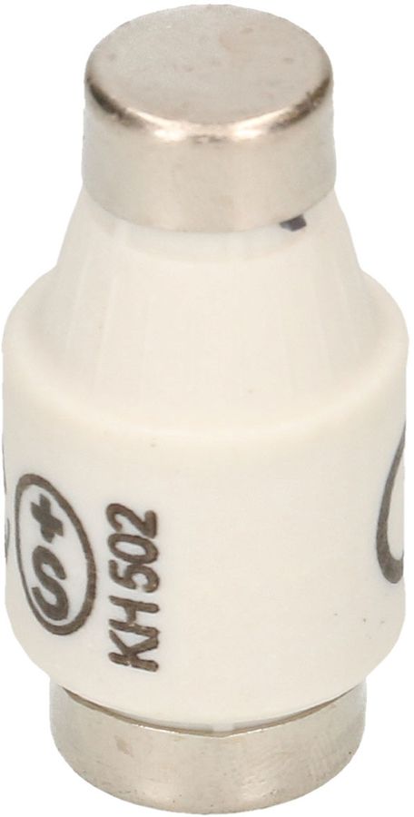 fusible 10A retardé 250V DT-I / 5 pièces