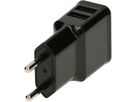 adaptateur de charge USB 2x USB-A 12W noir