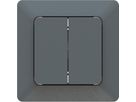bouton-poussoir double NO/NF AP priamos anthracite