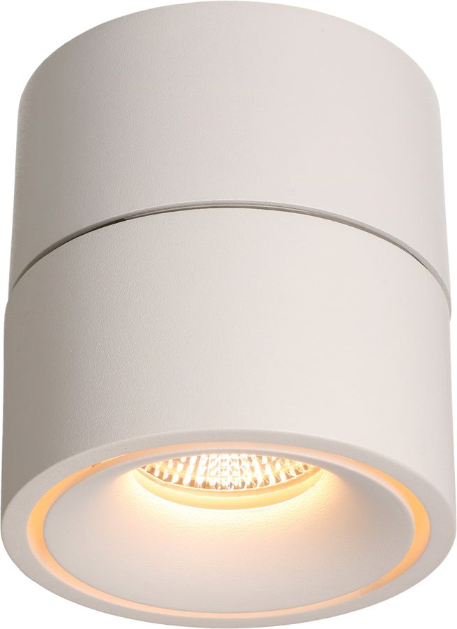 LED plafonnier BIG SHINE blanc mat 3000K 1100lm 36°