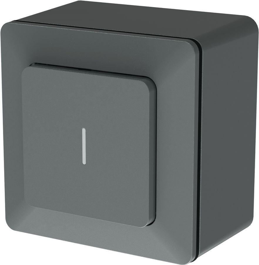 bouton-poussoir NO/NF illuminé AP priamos anthracite