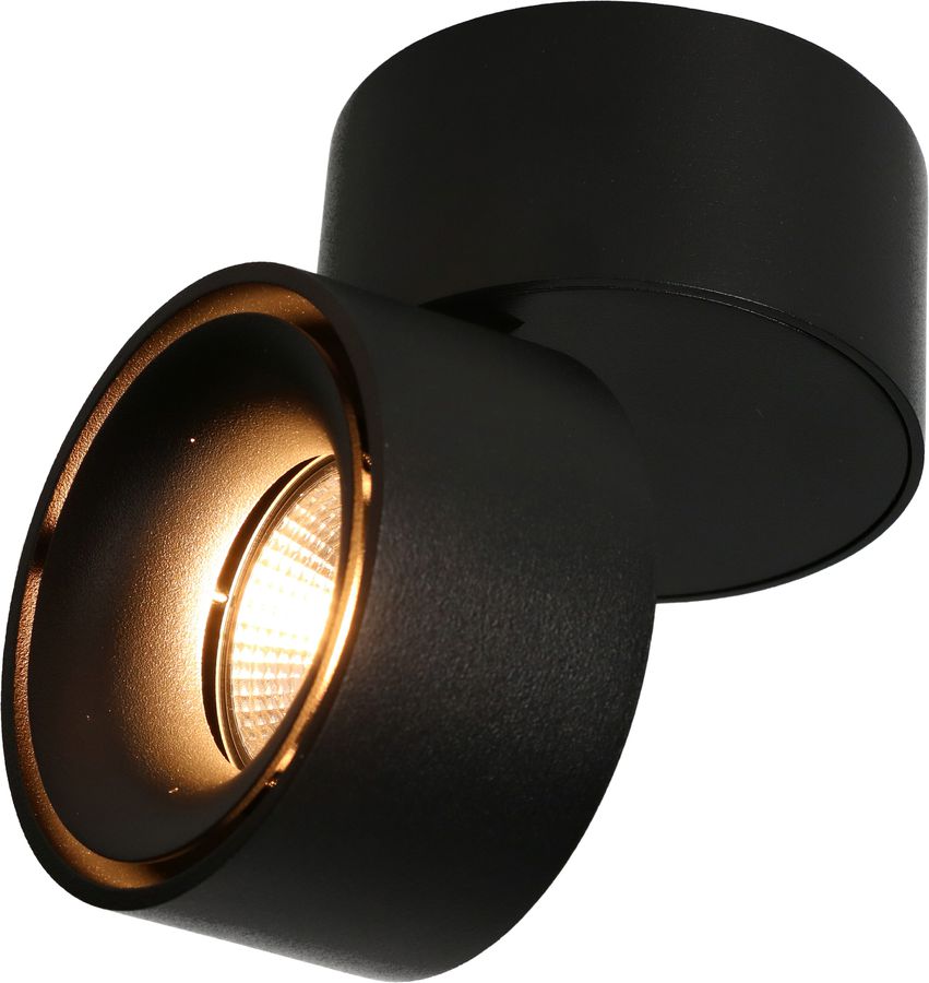 LED plafonnier SHINE mat noir 3000K 760lm 36°