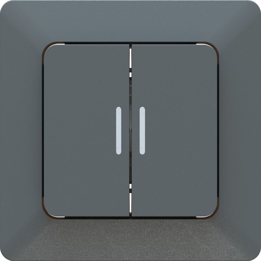 bouton-poussoir double NO/NF 2x illuminé AP priamos anthracite