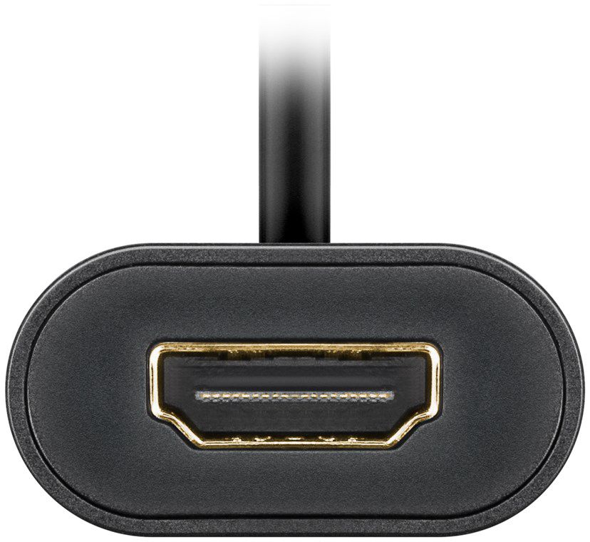 USB-C à HDMI adaptateur 0.2m