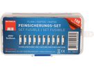 set fusible 5x20 mm rapide