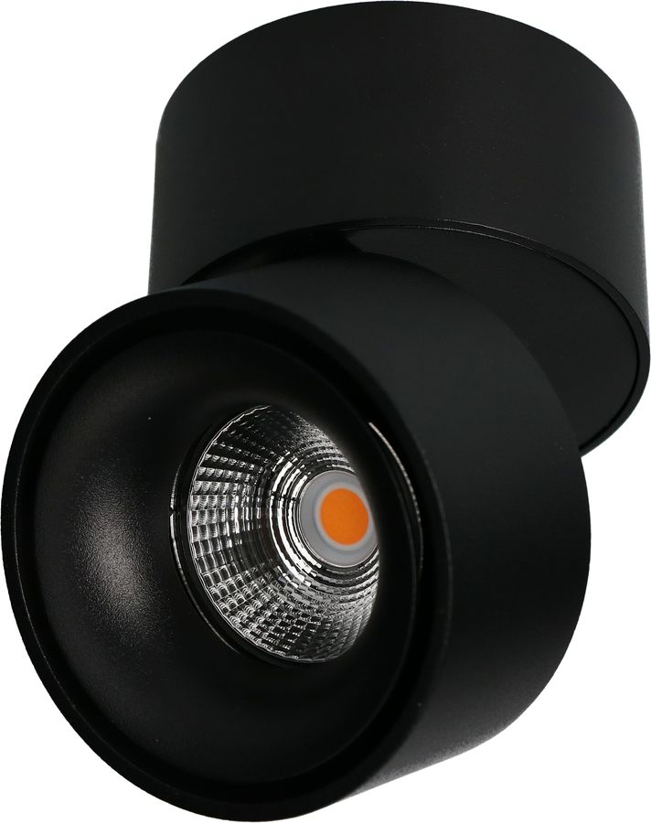 LED plafonnier SHINE mat noir 3000K 760lm 36°