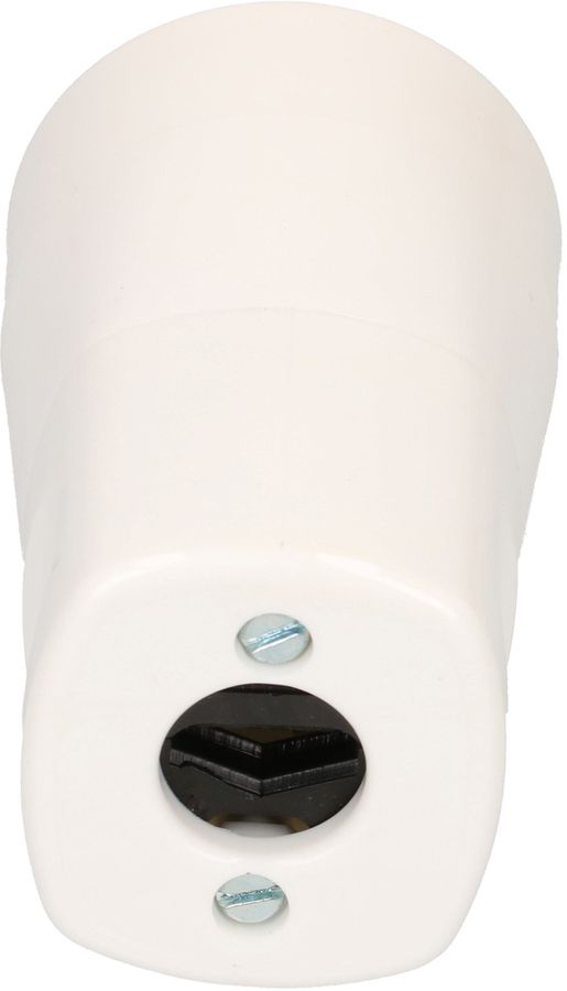 prise mobile type 15 5 pôles blanc