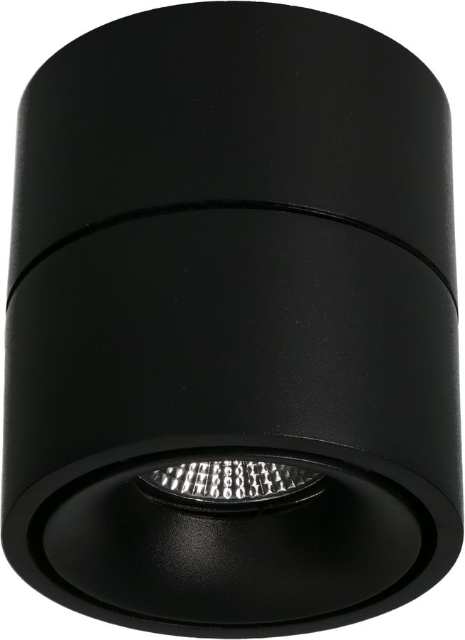 Spot da soffitto a LED BIG SHINE nero opaco 3000K 1100lm 36°
