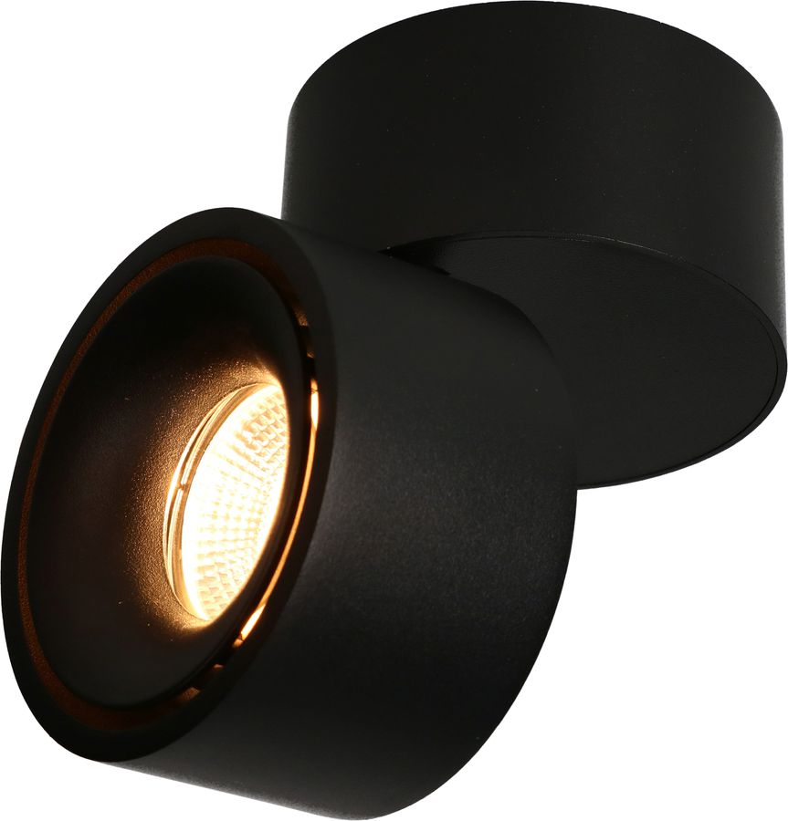 Spot da soffitto a LED BIG SHINE nero opaco 3000K 1100lm 36°