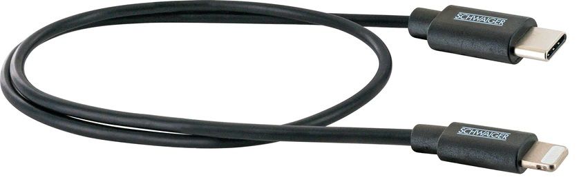 câble de recharge Lightning vers USB-C 0.5m noir