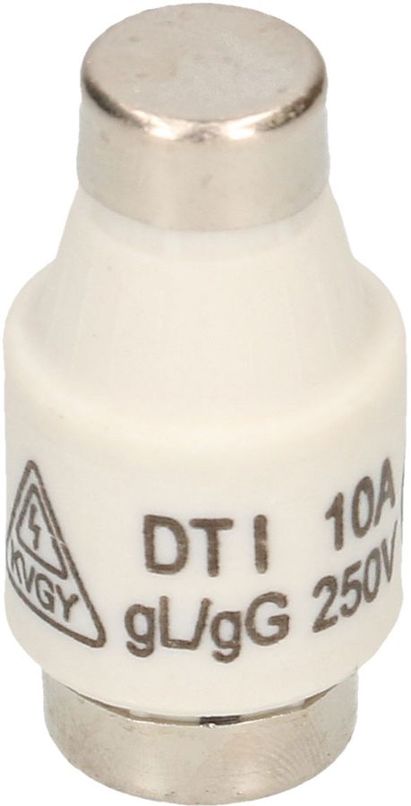 fusible 10A retardé 250V DT-I / 5 pièces