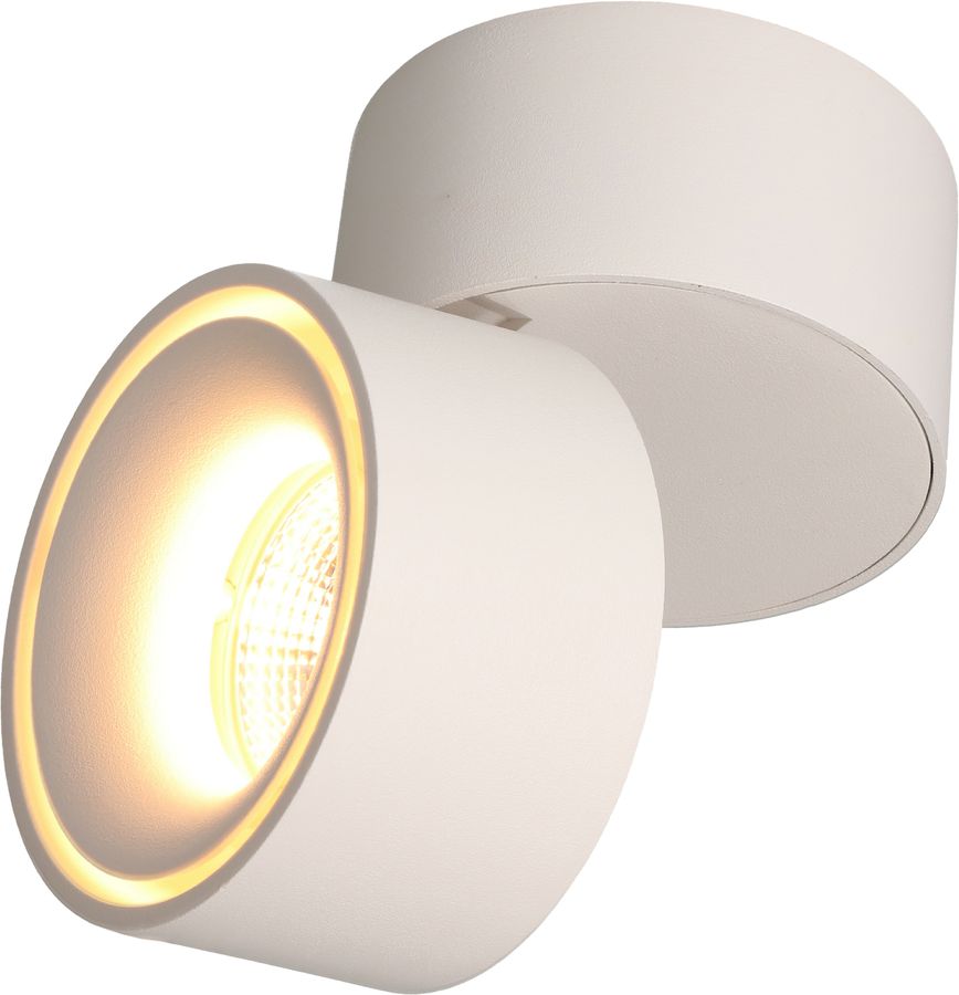 LED plafonnier SHINE blanc mat 3000K 760lm 36°