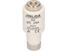 fusible 25A retardé 500V DT-II / 5 pièces