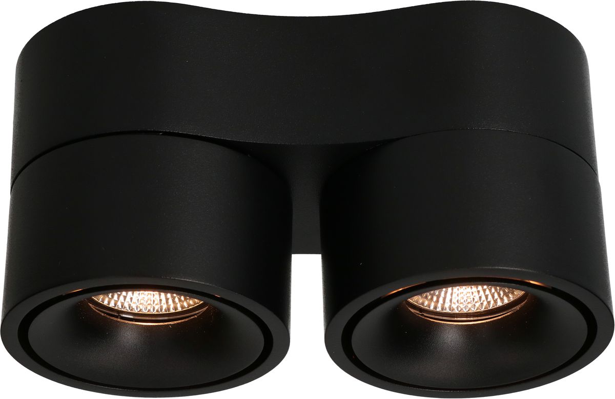 LED plafonnier DOUBLE SHINE noir 3000K 2200lm 2x 36°