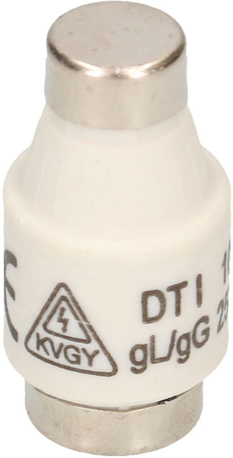 fusible 10A retardé 250V DT-I / 5 pièces