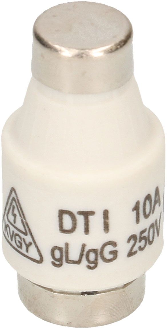 fusible 10A retardé 250V DT-I / 5 pièces