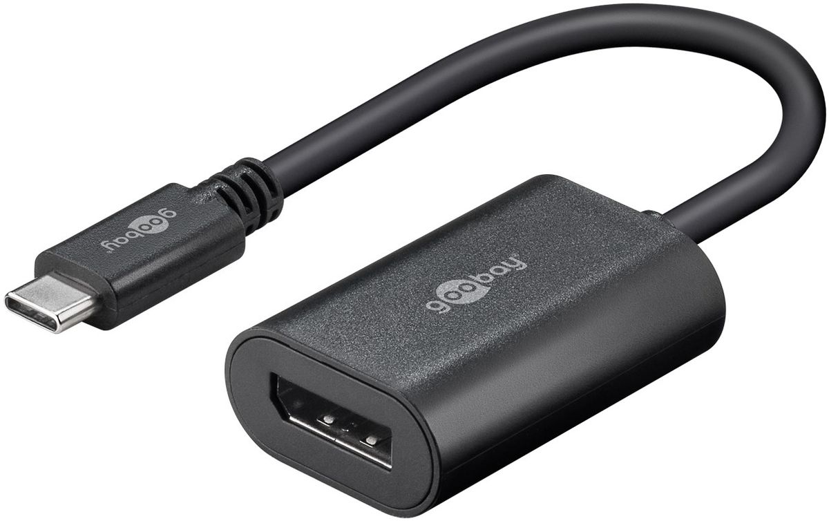 USB-C à DisplayPort câble adaptateur 0.2m