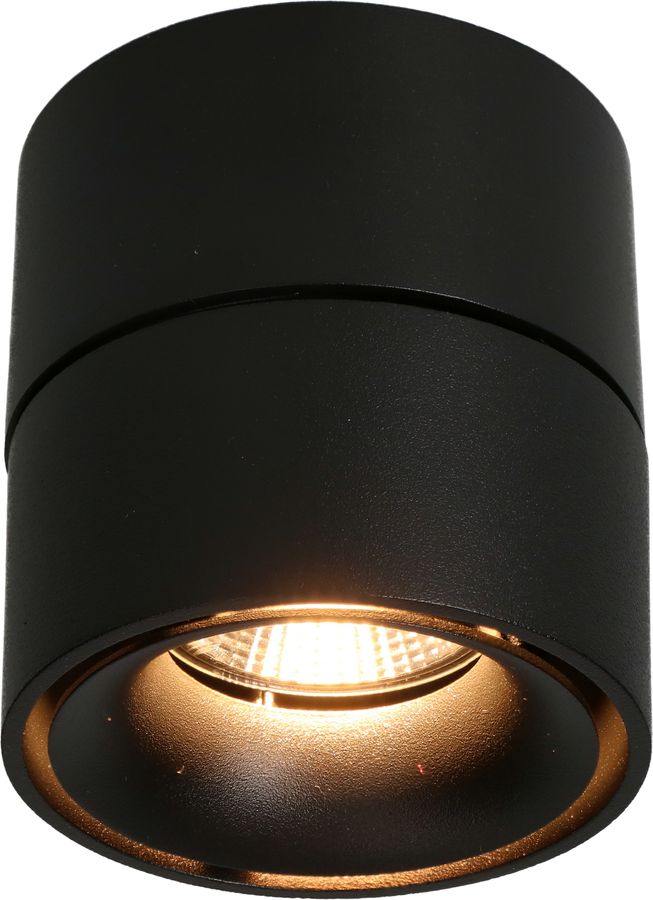 LED plafonnier SHINE mat noir 3000K 760lm 36°