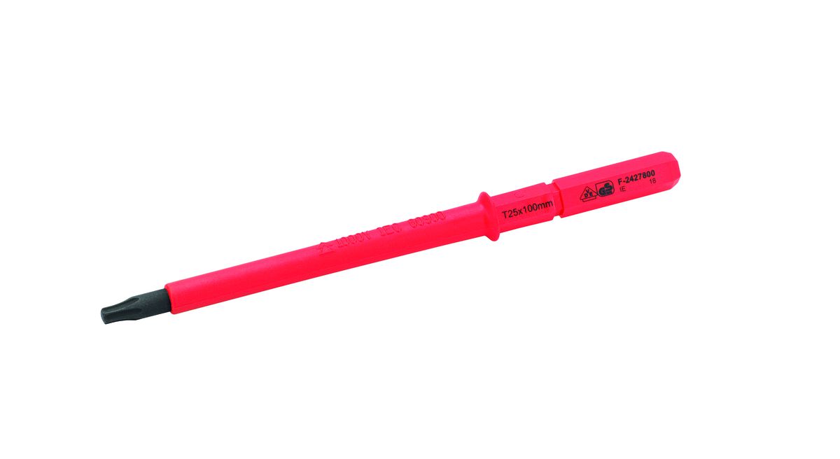 Lame interchangeable pour TORX T25